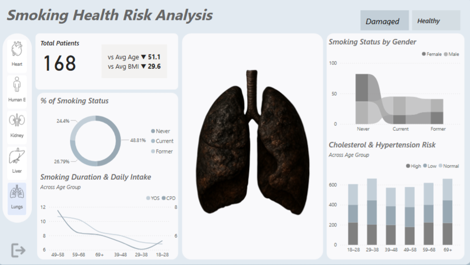 Smoking Risk Dashboard Overview
